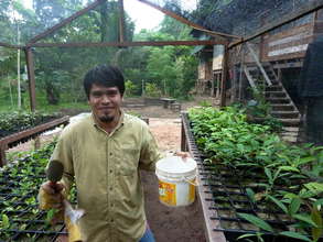 Our on site tree nursery
