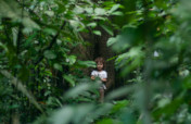 1000 trees a year 1000 acres of rainforest forever