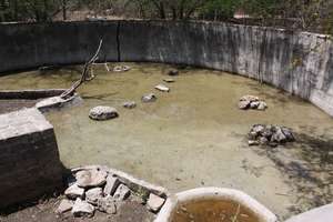 New crocodile camp for Molopo and Tugela