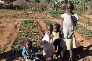 Seeds Will Change the Lives of Youth