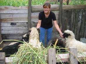 Give Small Business Loans to Women in Bosnia