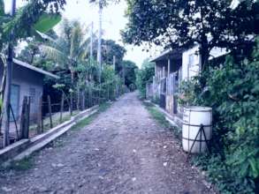 Empty streets, no transportation, no pedestrians