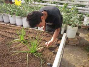 Ag-Business student at study