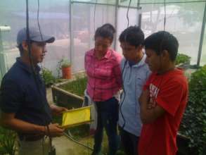Our tech-teacher Martin working on insect control