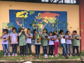 Sunflowers make a great learning tool