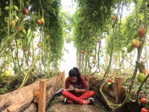 Reimagine rural education with us!