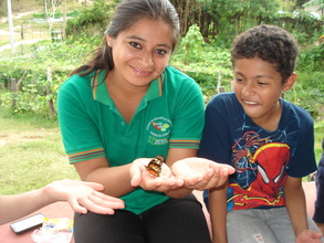 Learning with Butterflies