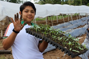 Raising seedings and transplanting vegetables