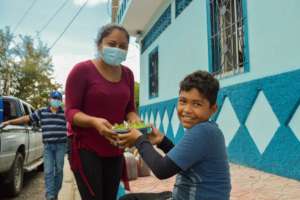 Agroecological kits for home gardens