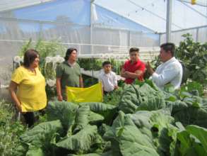 Application in agriculture.
