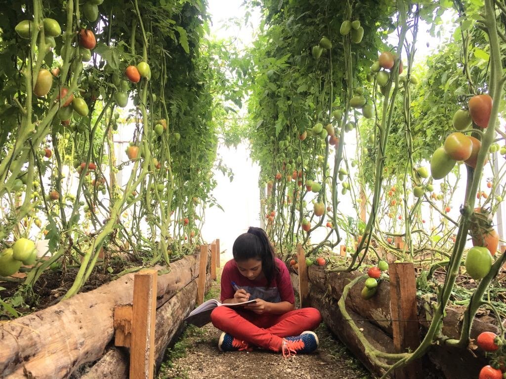 Transform Education in El Salvador
