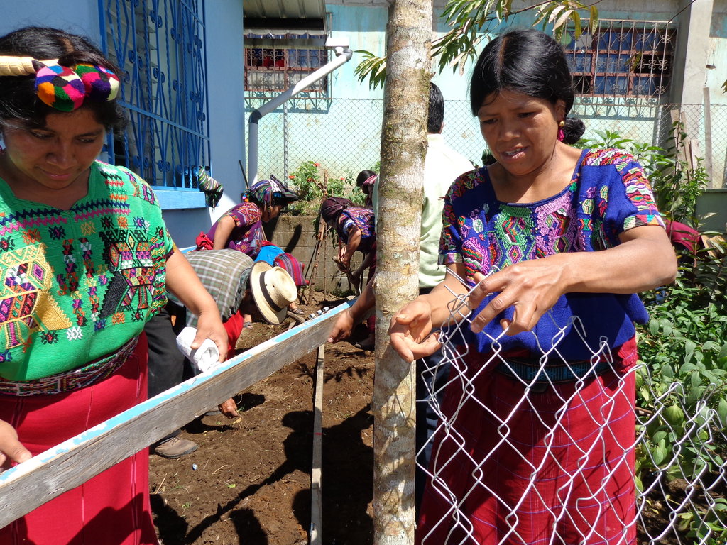Seeds for Guatemala Maya to Grow 5 Tons of Food