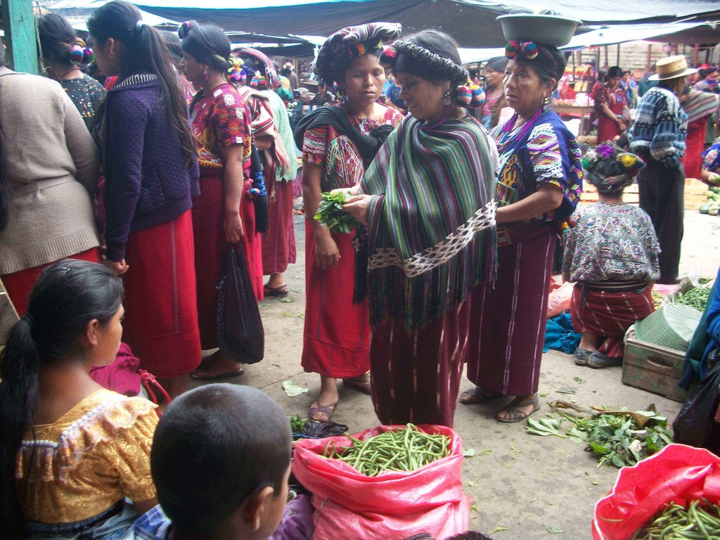 Seeds for Guatemala Maya to Grow 5 Tons of Food