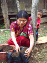 Preparing soil