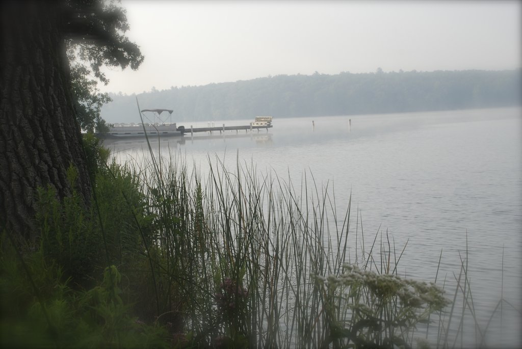 Camp Shout Out: Workshop 2014