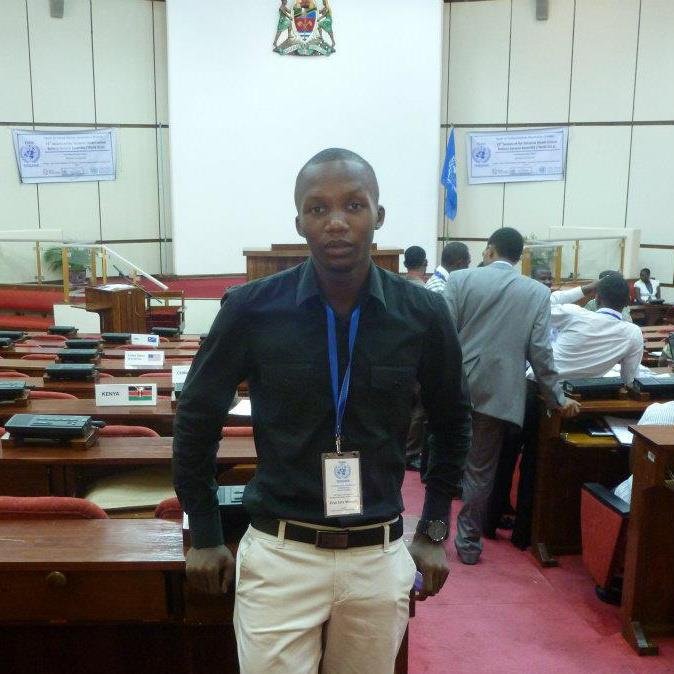Online Model UN Connecting Global Youth