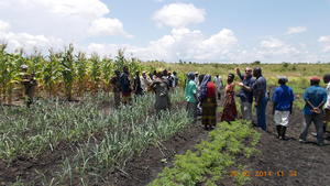 Kubunina School Gardens