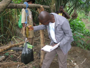 Regular vegetables selling to support school fees