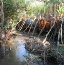 The dam who let parents control water: a new life!