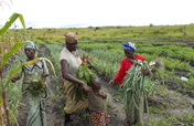 Kubunina,access to school to 70 Congolese children