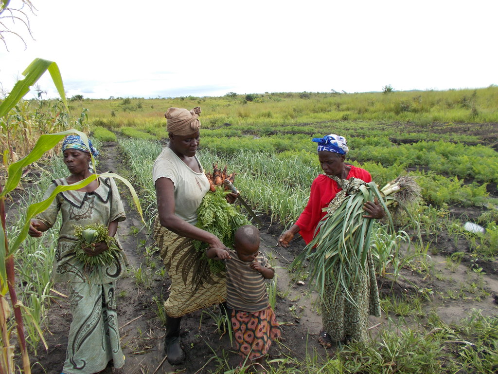 Kubunina,access to school to 70 Congolese children