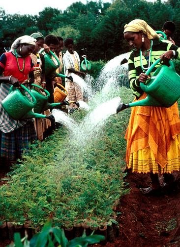 Millennium Water Program in Ethiopia