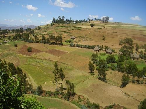 Millennium Water Program in Ethiopia