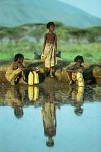Three Boys Gather Water From Pond