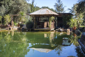 Gangotri Pond in Monte Sahaja.