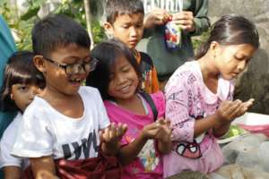 Learning About Seeds