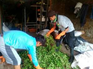 Preparing the First Compost Bin