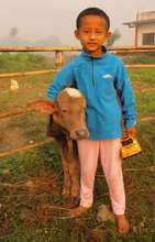 Fun with our baby buffalo