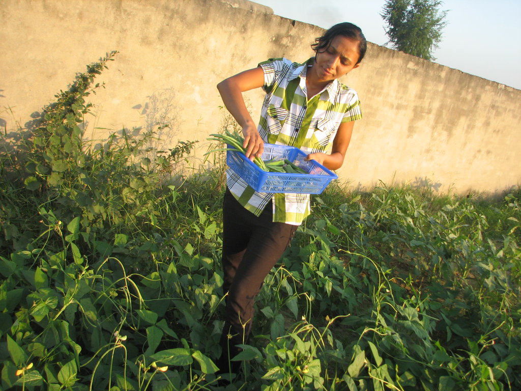 6000 Street Children in Nepal: Give Them a Home