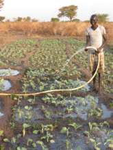 Clean water helps grow healthy food