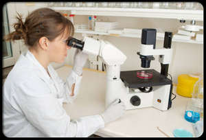 Psoriasis Research