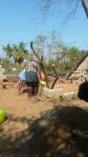 compound wall damage2
