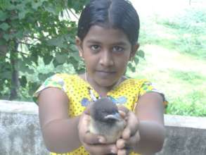 child enjoyed with bird
