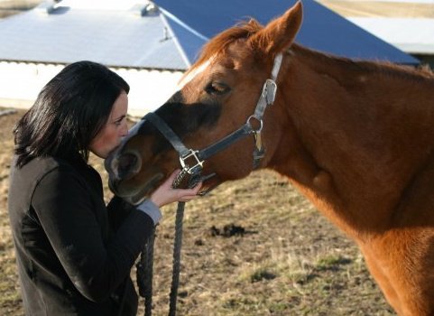 Hoofin'it for Horse and Human Healing