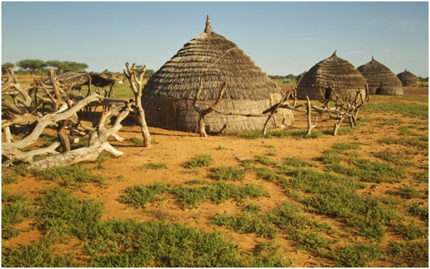 Women's Savings & Loan Program in Niger