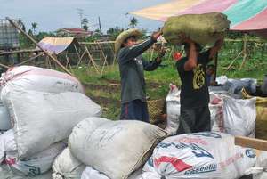 Organic fertilizer production