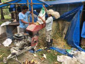 Producing organic fertilizer
