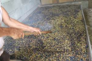 Roasting the native coffee mix