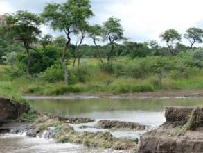 Dams broken by the sheer force of the water.