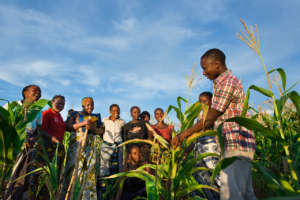 LEAD farmer members in Tanzania.