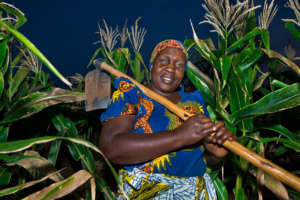 Sophia, a rural corn farmer in Tanzania.