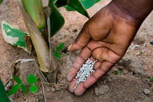 Fertilizer for crops  Alison Wright 2014