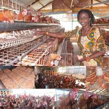 Mgeni a livestock promotor in Tanzania