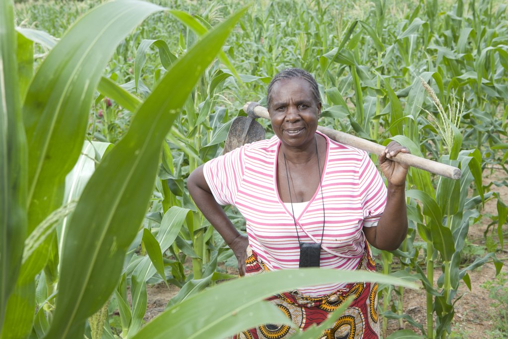 Catalyzing agricultural innovation in Tanzania