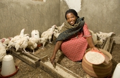 Catalyzing agricultural innovation in Tanzania