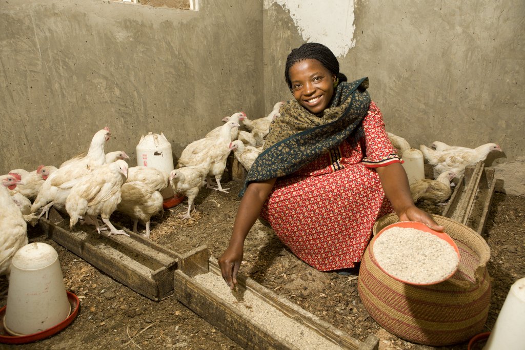 Catalyzing agricultural innovation in Tanzania
